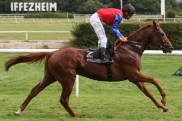 Racing Carnival: Deutscher Gro?angriff in dieser Woche Racing Carnival: Deutscher Gro?angriff in dieser Woche