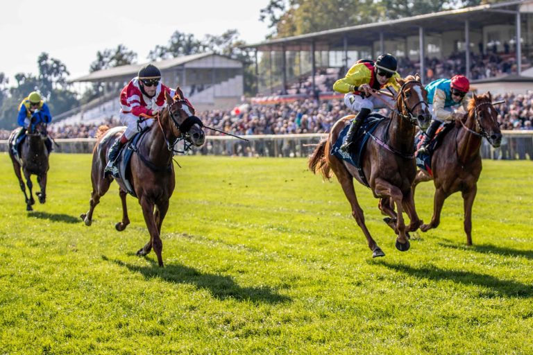 So war es 2020: Torquator Tasso gewinnt