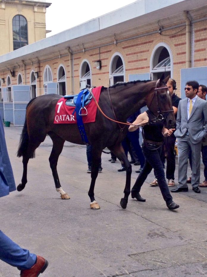 treve_vermeille_2014