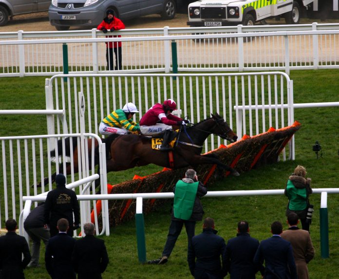 triumphe_hurdle