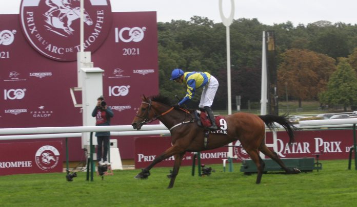 Trueshan (Archiv) Trueshan