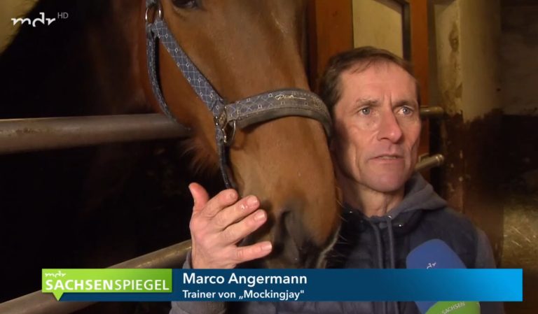 Frederik Tylicki auf Sport-Welt-TV Frederik Tylicki auf Sport-Welt-TV