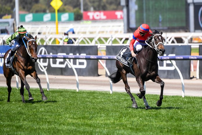 Verry Elleegant Foto: racingphotos.com