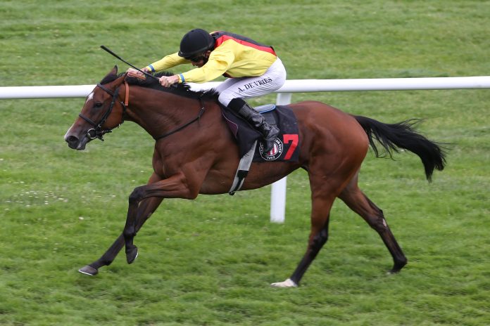 Virginia Joy (Archiv)