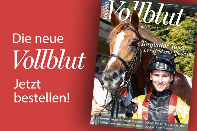 vollblut_266_gol