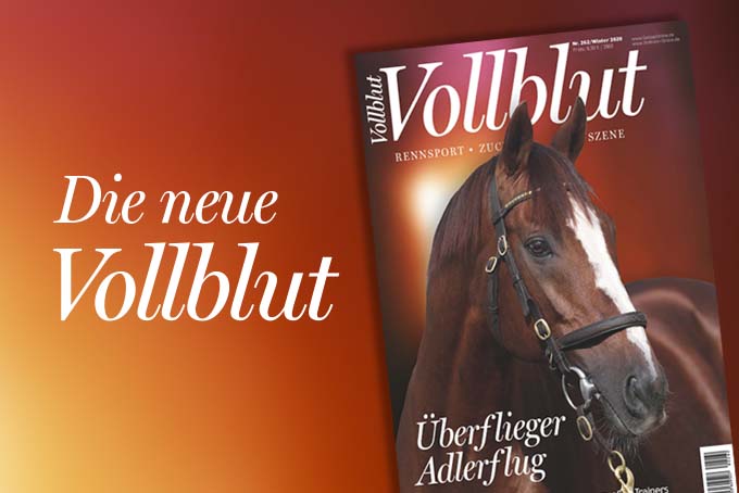 Neue Vollblut erscheint – Jetzt bestellen!