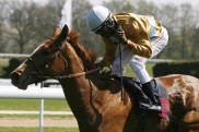 Die Stuten-Trophy: Top-Revanche Waldjagd/Elle Shadow