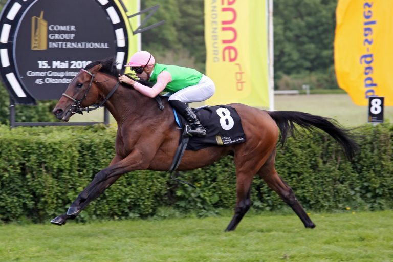 Wöhler-Duo für Irish St. Leger genannt Wöhler-Duo für Irish St. Leger genannt