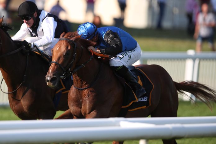 Wild Gypsy Boy (Archiv) Wild Gypsy Boy (Archiv)