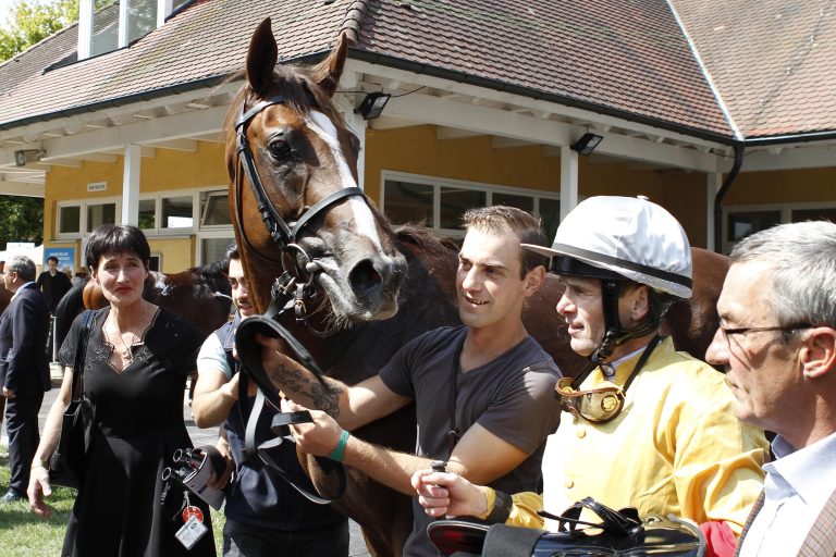Django und Winterfuchs nach Handicapper gleichauf