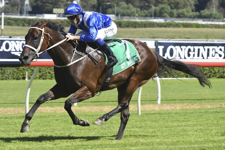 27 Erfolge in Serie – Winx zu stark für die Konkurrenz