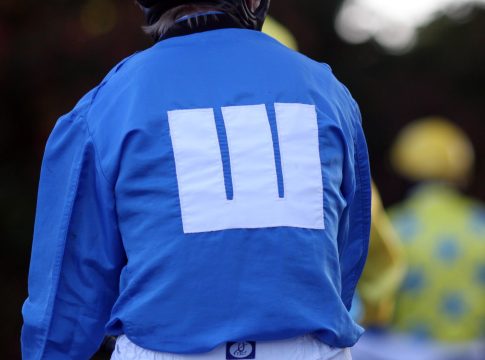 Arqana: Zwei Wittekindshofer bringen mehr als 200.000 Euro