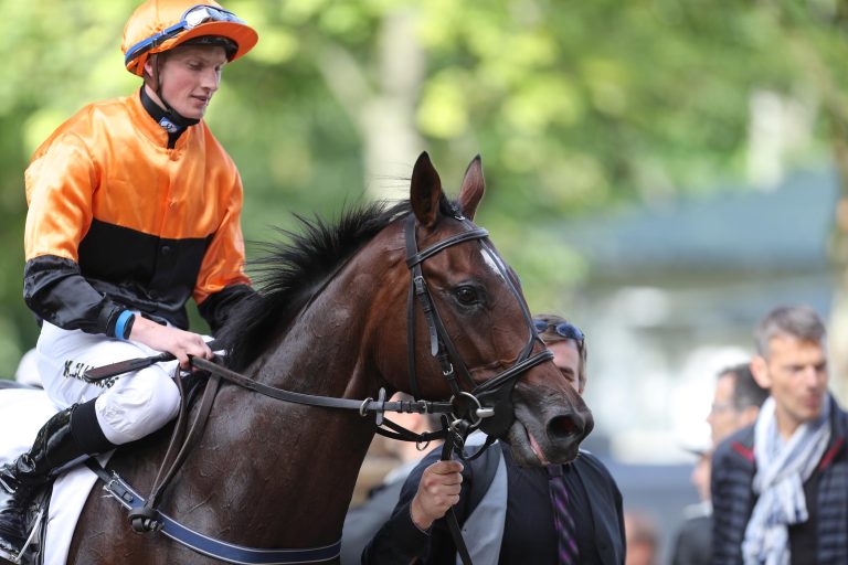 Zweijährige: Star Max, Pathfinder und „Görl“ siegen