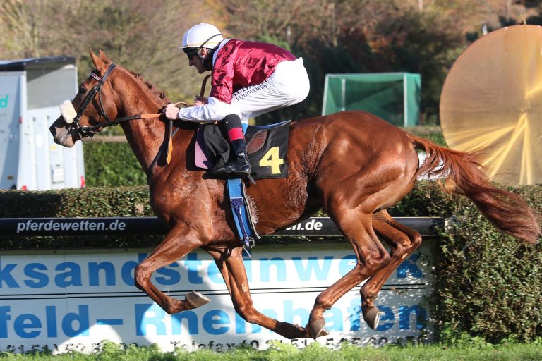 96 Kilo: Wonderful Moon Champion-Zweijähriger vor Alson