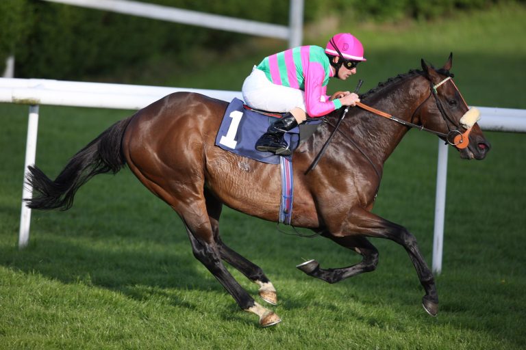Stallion Worthadd wechselt in deutschen Besitz Stallion Worthadd wechselt in deutschen Besitz