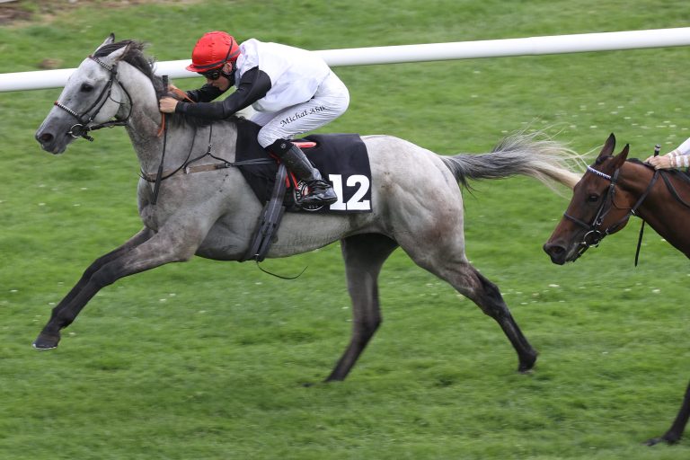 Zampano 