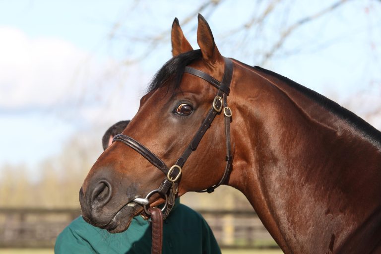 Zarak
